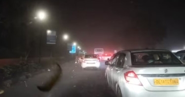 Two killed, 23 injured as dust storm sweeps Delhi