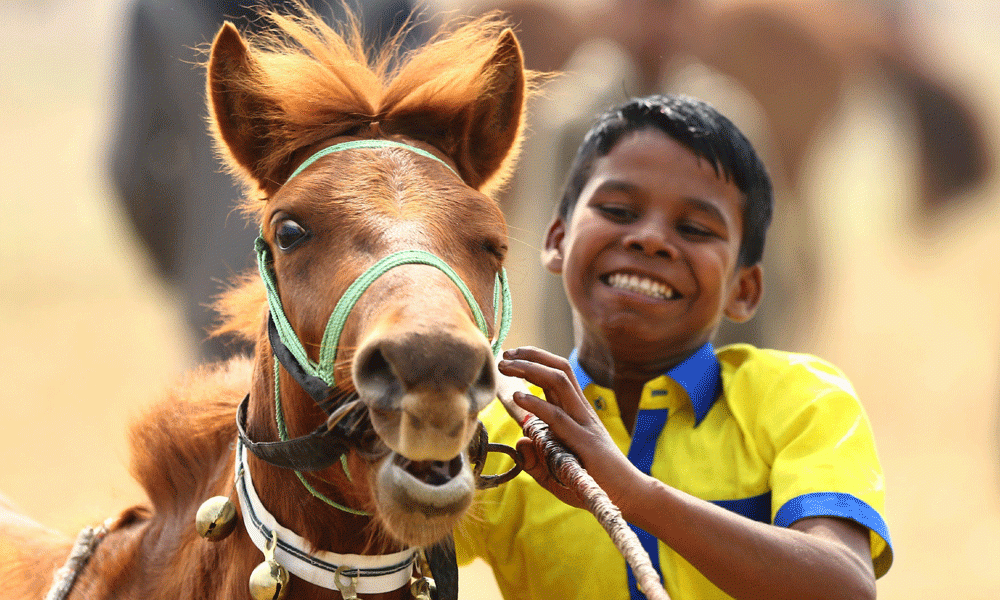 Each horse carries a unique and interesting name, adding to the charm of the event. Photo : Reaz Ahmed Sumon