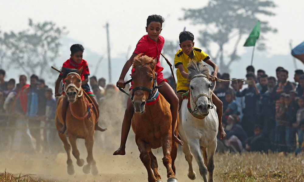 A total of 113 horses take part in the race. Each horse carries a unique and interesting name, adding to the charm of the event. Photo : Reaz Ahmed Sumon
