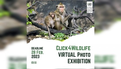 UNDP launches '#Click4Wildlife' campaign to mark World Wildlife Day