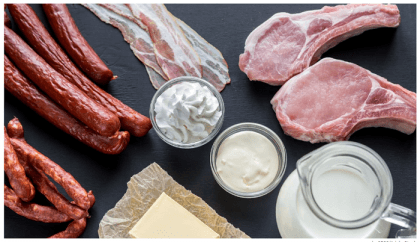 New research highlights potential risks of 'keto-like' diet