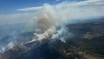 Dozens of bushfires spread as heat grips Australia's east