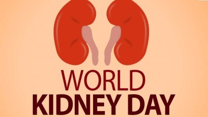 World Kidney Day: 80pc patients die for lack of treatment in country