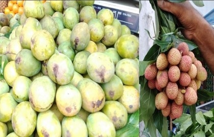 Mango,litchi start appearing in Khulna markets