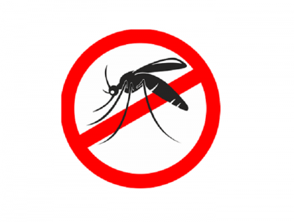 Dengue: 40 more patients hospitalised in 24 hours