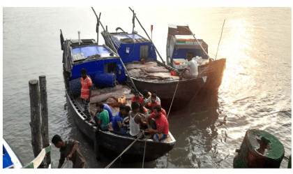 24 fishermen held for catching fish in Sundarbans violating ban