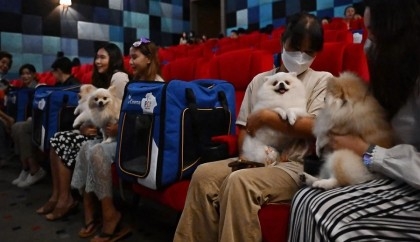 Paws and popcorn: Thai cinema goes pet-friendly