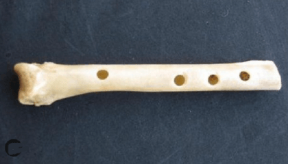 2,000-year-old bone flutes sound like birds of prey: study