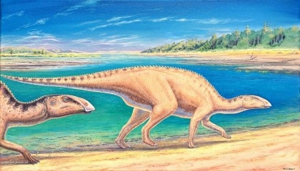 Remains of new species of duck-billed dinosaur found in Chile
