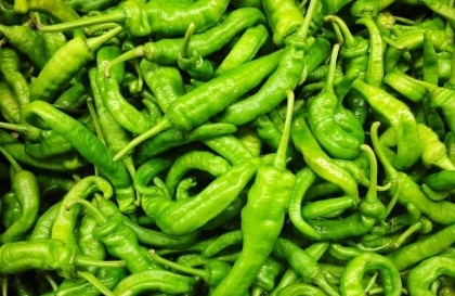 Price of green chilli hits high