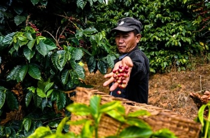 Chinese coffee producers eye Bangladesh as new export destination

