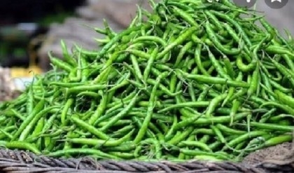 Green chilli now Tk 250 per kg in capital!

