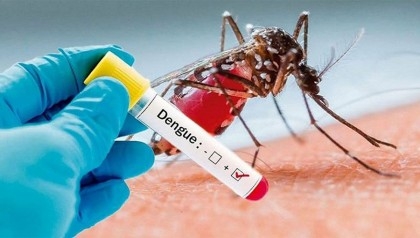 Two dengue patients die, 820 hospitalised in 24 hrs
