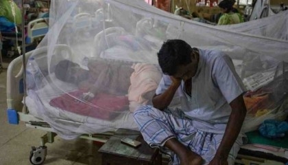 Country sees record 13 deaths from dengue infection

