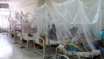 Dengue fever: Death toll rises to 239 with 10 more deaths in 24hrs

