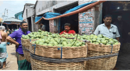 2,700 tons of mangoes exported to 34 countries 