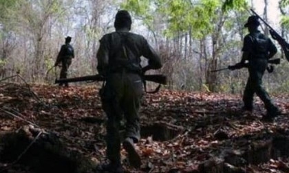 Maoist Couple Involved In Big Ambushes Surrenders In Chhattisgarh

