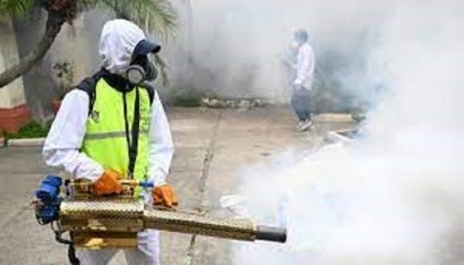 Guatemala declares dengue health emergency