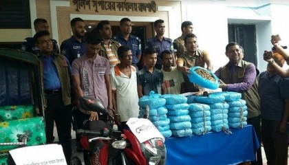 Four held with 52-kg ganja in Rajshahi