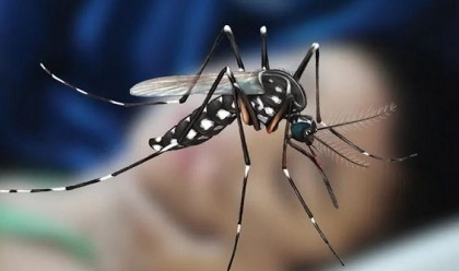 Deaths from dengue now 846 as 7 more die in 24 hrs