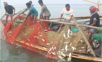 22-day ban on hilsa fishing begins on October 12