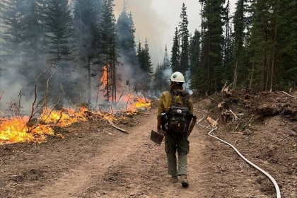 Four firefighters die in road crash after battling Canada wildfires