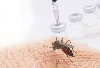 10 more dengue patients die, 2,047 hospitalised in 24hrs
