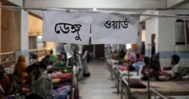 Google brings special tool for Bangladesh amid dengue outbreak