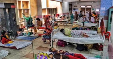 Dengue: 8 more die; 1,084 hospitalised in 24hrs
