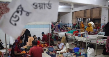 Dengue: 7 more die; 1,094 hospitalised in 24hrs