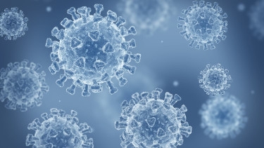 Coronavirus infection with new variant JN. 1 detected in Bangladesh