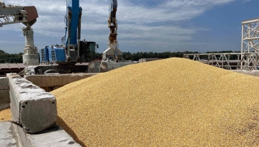Russia’s export duty on wheat to be $41.82 per ton from February 7