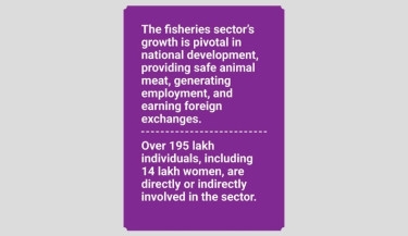 Fisheries sector targets Tk15,000cr in exports