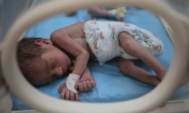 Increasing numbers of newborns on brink of death in Gaza