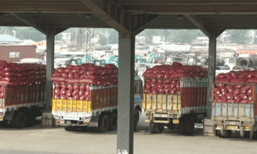 300 tonnes of potatoes imported from India through Benapole