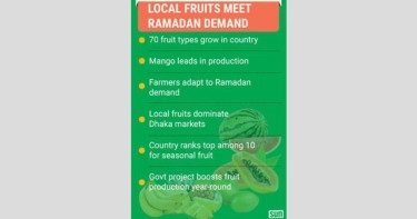 Local fruits to the rescue: Affordable options for Ramadan iftar