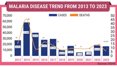 Malaria fight: Progress, but persists