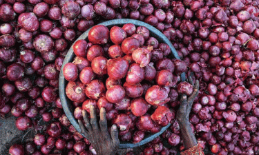 India imposes 40% export duty on onions effective on 4 May