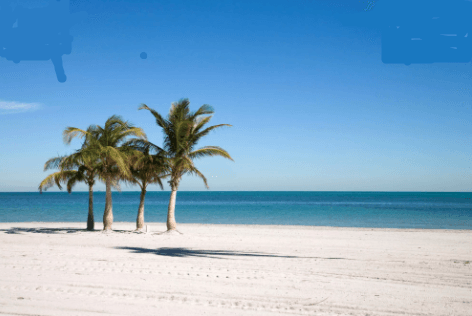 Beach Poles