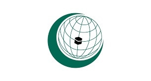 OIC welcomes Security Council Resolution Calling for an Immediate Ceasefire in Gaza