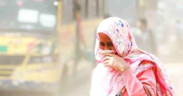 Asthma patients rising due to air pollution: Environment minister
