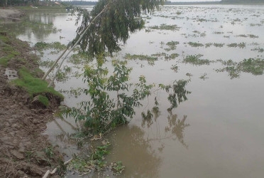 Water levels rising in Kurigram rivers