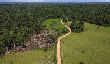 Lula calls for 'agility' in combatting Amazon deforestation crime