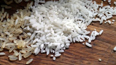 16 lakh-tonne rice lost every year to excessive polishing: Food minister