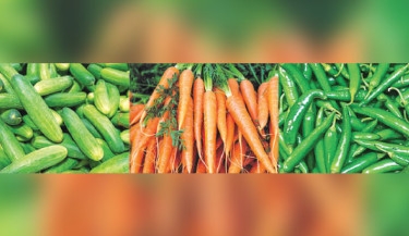 Green chilli, cucumber, carrot prices spike further