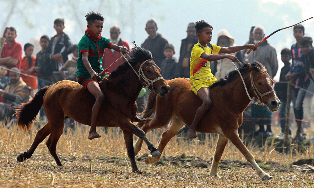 A total of 113 horses take part in the race. Each horse carries a unique and interesting name, adding to the charm of the event. Photo : Reaz Ahmed Sumon