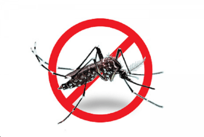 Bangladesh reports two more dengue cases