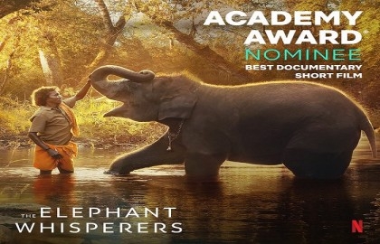 'The Elephant Whisperers' triumphs at Oscars 2023, director dedicates award to 'motherland India'