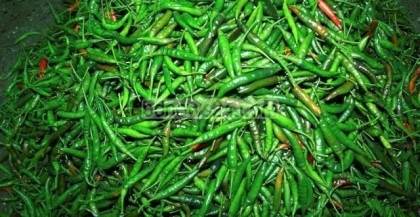 Govt allows import of 36,830 tons green chilli

