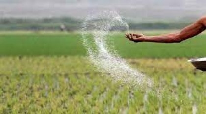 Price of fertilizer increased by 105pc in Bangladesh since Russia-Ukraine war: Study   


